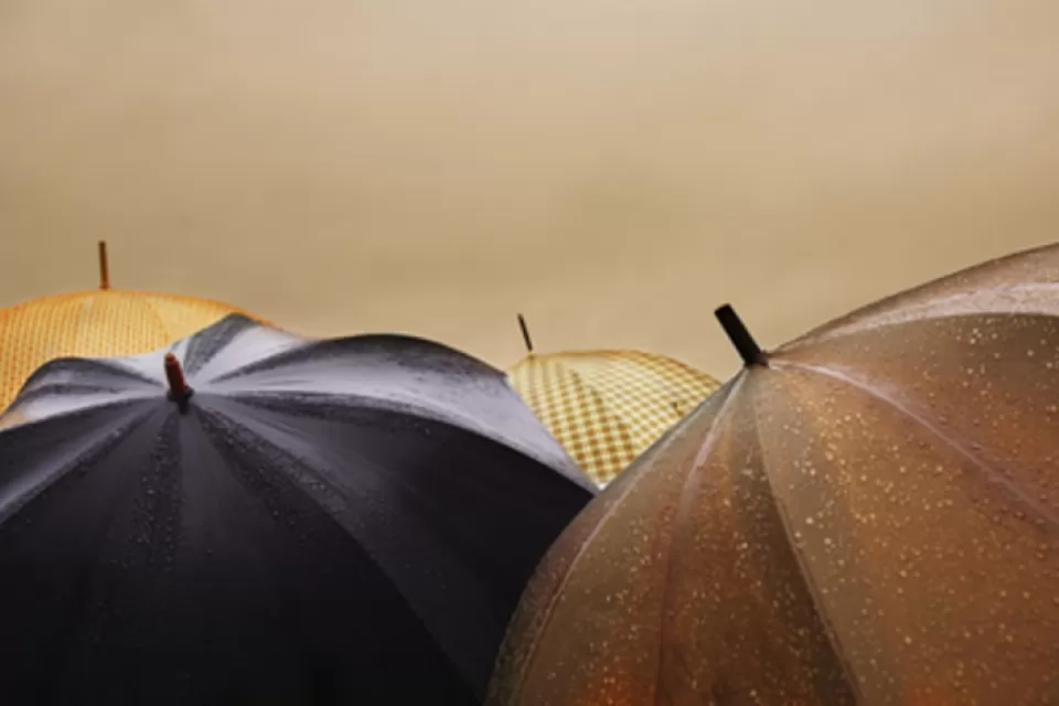 Rain Umbrellas